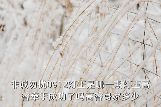 非誠(chéng)勿擾0912燈王是哪一期燈王高睿牽手成功了嗎高睿身家多少