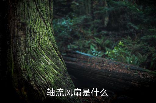 軸流風扇是什么