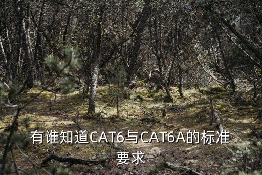 cat6a，Cat 6A UTP是什么類型的線纜