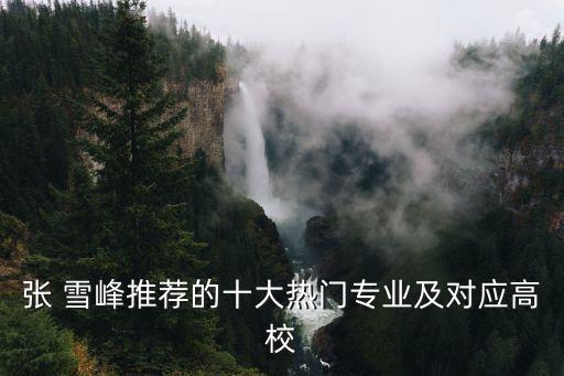 張 雪峰推薦的十大熱門專業(yè)及對(duì)應(yīng)高校