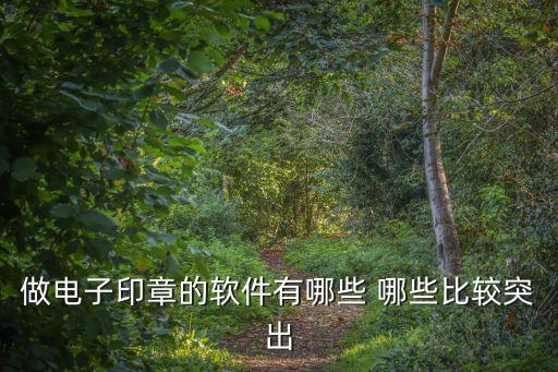 做電子印章的軟件有哪些 哪些比較突出