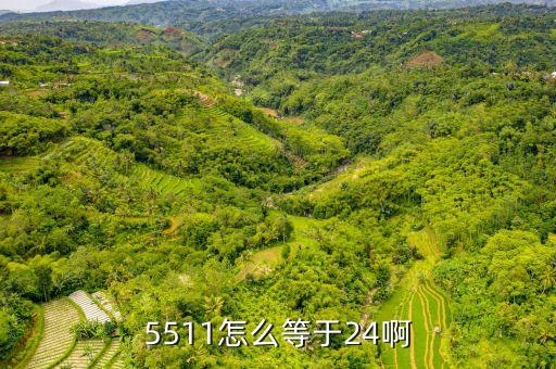 5511怎么等于24啊