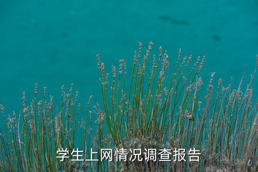 學生上網(wǎng)情況調(diào)查報告