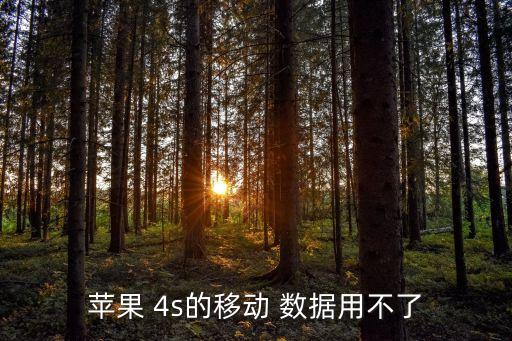 蘋(píng)果 4s的移動(dòng) 數(shù)據(jù)用不了