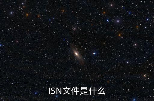 ISN文件是什么