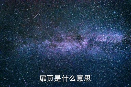什么是扉頁，會(huì)計(jì)賬簿屝頁是什么