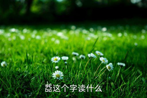 莻這個(gè)字讀什么