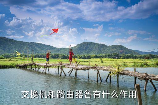 交換機(jī)和路由器各有什么作用