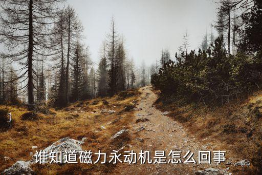 誰(shuí)知道磁力永動(dòng)機(jī)是怎么回事