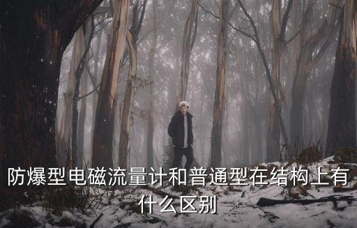 防爆型電磁流量計(jì)，防爆型電磁流量計(jì)和普通電磁流量計(jì)的區(qū)別