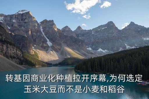 轉(zhuǎn)基因商業(yè)化種植拉開序幕,為何選定玉米大豆而不是小麥和稻谷