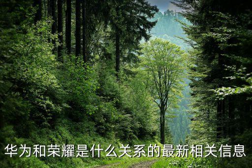 華為和榮耀是什么關系的最新相關信息