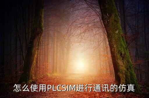 怎么使用PLCSIM進行通訊的仿真