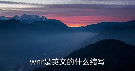 wnr是英文的什么縮寫(xiě)