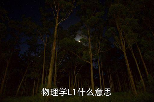 物理學(xué)L1什么意思
