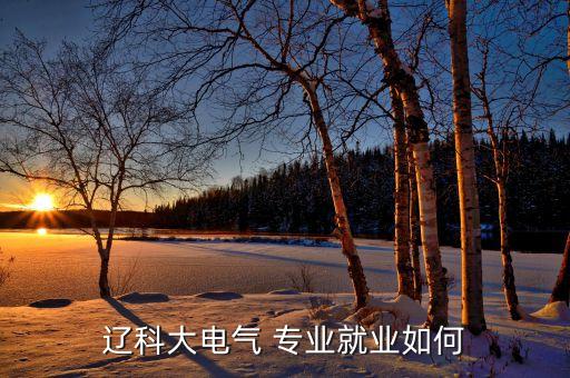 遼科大電氣 專業(yè)就業(yè)如何
