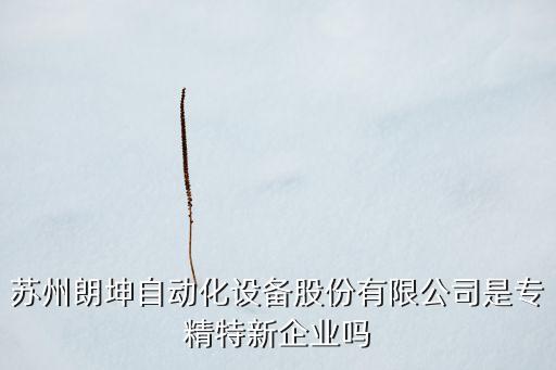 蘇州全自動化設(shè)備零件,蘇州勵威自動化設(shè)備有限公司怎么樣?