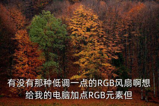 有沒有那種低調一點的RGB風扇啊想給我的電腦加點RGB元素但