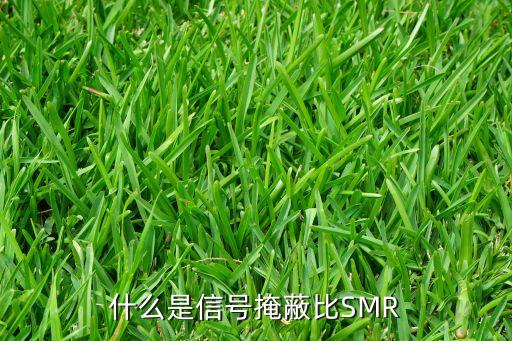 SMR，骨髓穿刺報告中的SMR是什么意思
