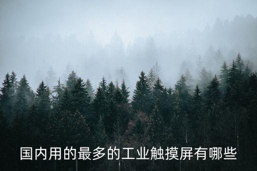 國內(nèi)用的最多的工業(yè)觸摸屏有哪些