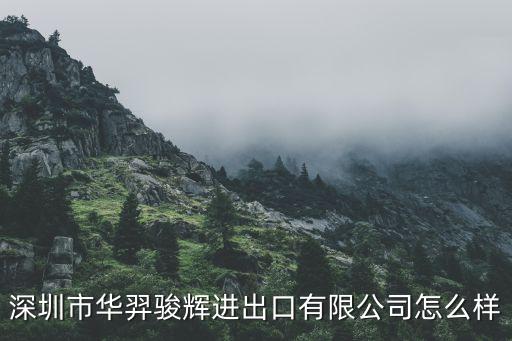 深圳市華羿駿輝進(jìn)出口有限公司怎么樣