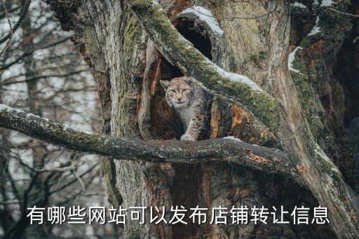 有哪些網(wǎng)站可以發(fā)布店鋪轉(zhuǎn)讓信息