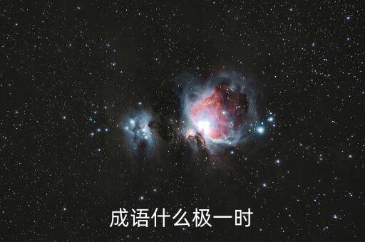 極時，成語什么極一時