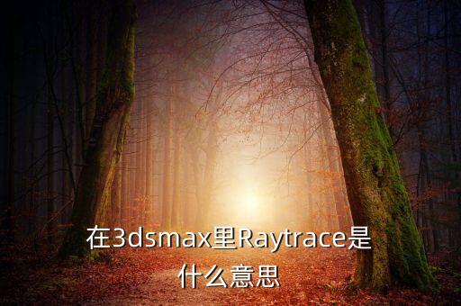 rayshape，在3dsmax里Raytrace是什么意思