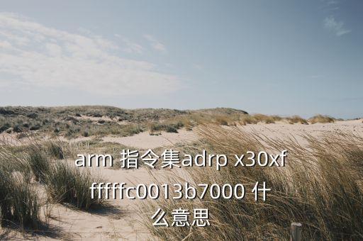 arm 指令集adrp x30xffffffc0013b7000 什么意思