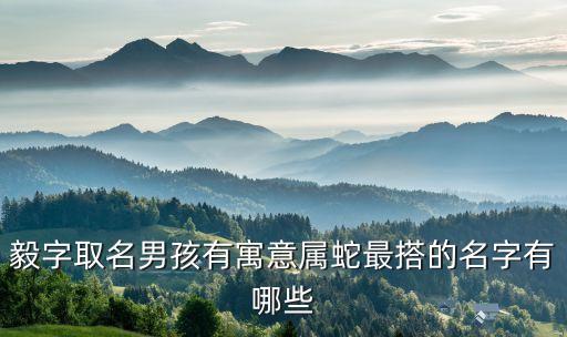 銘毅自動化設(shè)備,屬蛇最搭的名字有哪些?