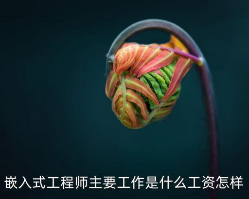 嵌入式工程師主要工作是什么工資怎樣