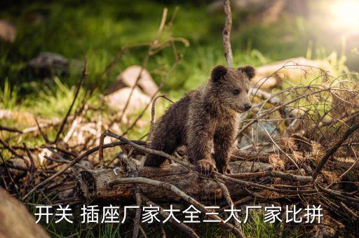 注塑插座自動化設(shè)備