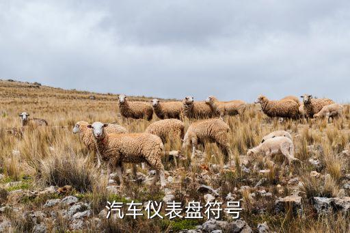儀表盤標(biāo)志，汽車儀表盤 符號(hào)是什么意思