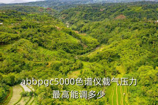 abbpgc5000色譜儀載氣壓力最高能調(diào)多少