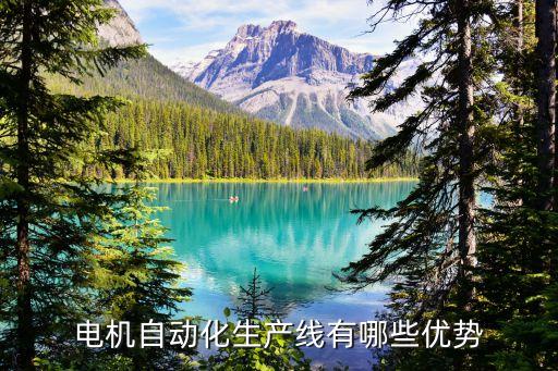 電機(jī)自動(dòng)化生產(chǎn)線有哪些優(yōu)勢(shì)