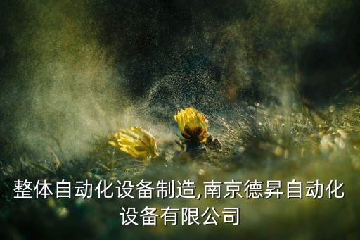 南京整體自動化設備制造,南京德昇自動化設備有限公司