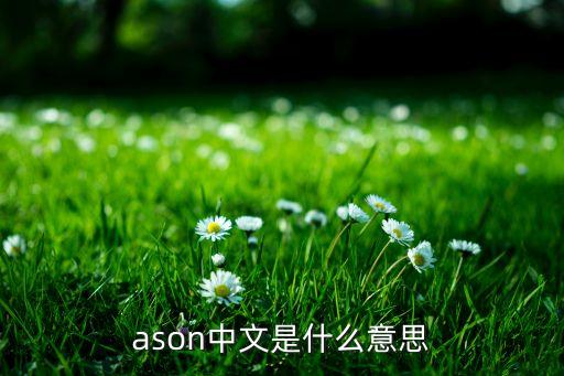 ason中文是什么意思