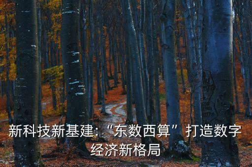 國家 數(shù)據(jù)中心,全國數(shù)據(jù)中心如何布局?一文看懂