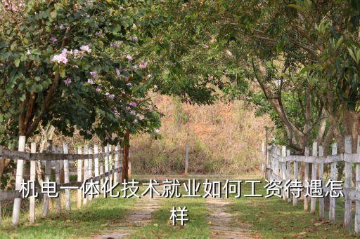  機(jī)電一體化技術(shù)就業(yè)如何工資待遇怎樣