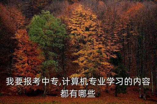 我要報考中專,計算機專業(yè)學(xué)習(xí)的內(nèi)容都有哪些