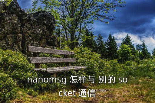 nanomsg 怎樣與 別的 socket 通信