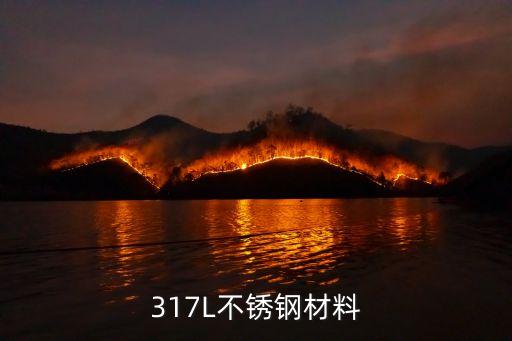 317L，317L是什么材料 哪個(gè)國(guó)家的牌號(hào) 求答案 急急急