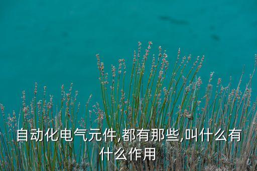 自動化電氣元件,都有那些,叫什么有什么作用