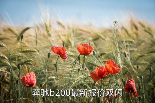 奔馳b200最新報(bào)價(jià)雙閃