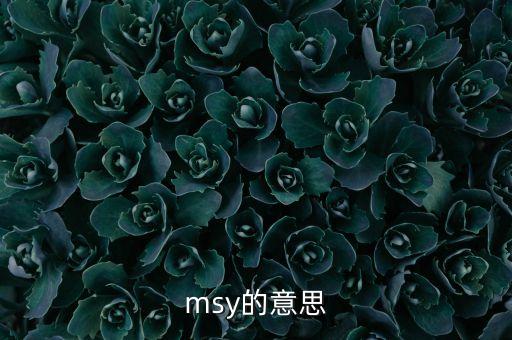 msy的意思
