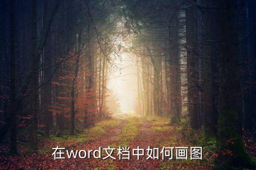 繪圖，在word文檔中如何畫圖
