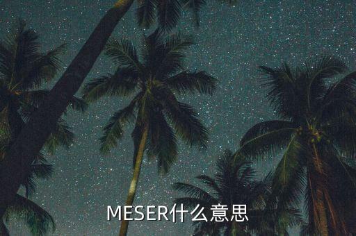 MESER什么意思