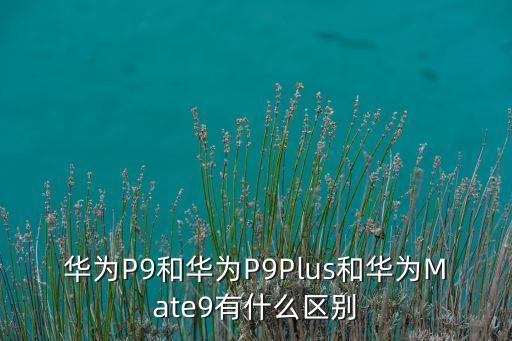華為P9和華為P9Plus和華為Mate9有什么區(qū)別