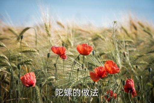 陀螺的做法