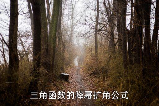 三角函數(shù)的降冪擴角公式